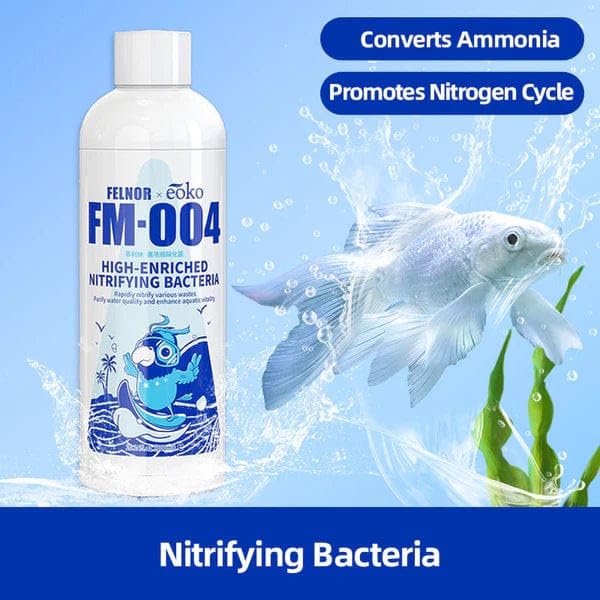 Fish Tank Water Purifier Algae Remover (Pack of 3)