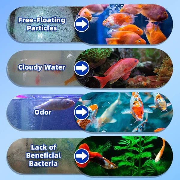 Fish Tank Water Purifier Algae Remover (Pack of 3)