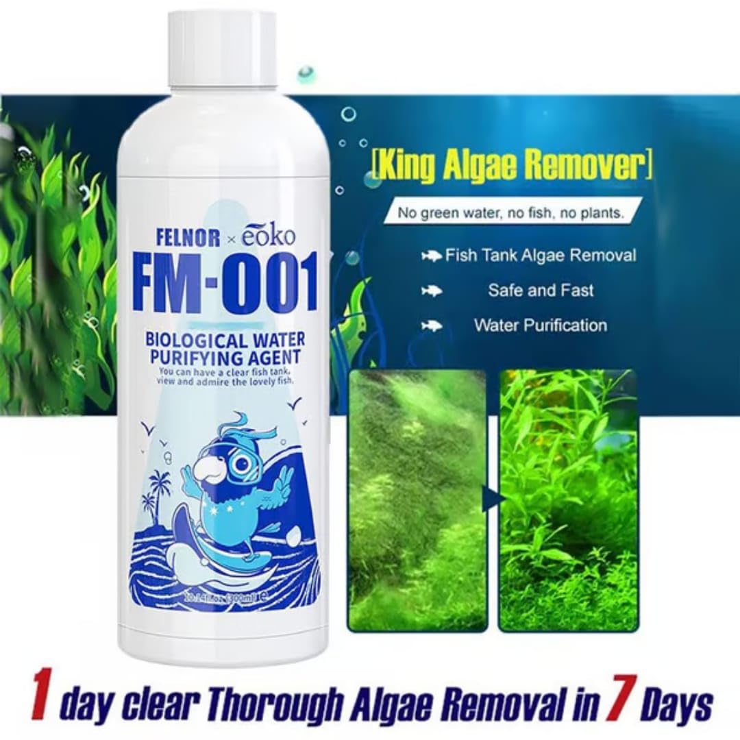 Fish Tank Water Purifier Algae Remover (Pack of 3)