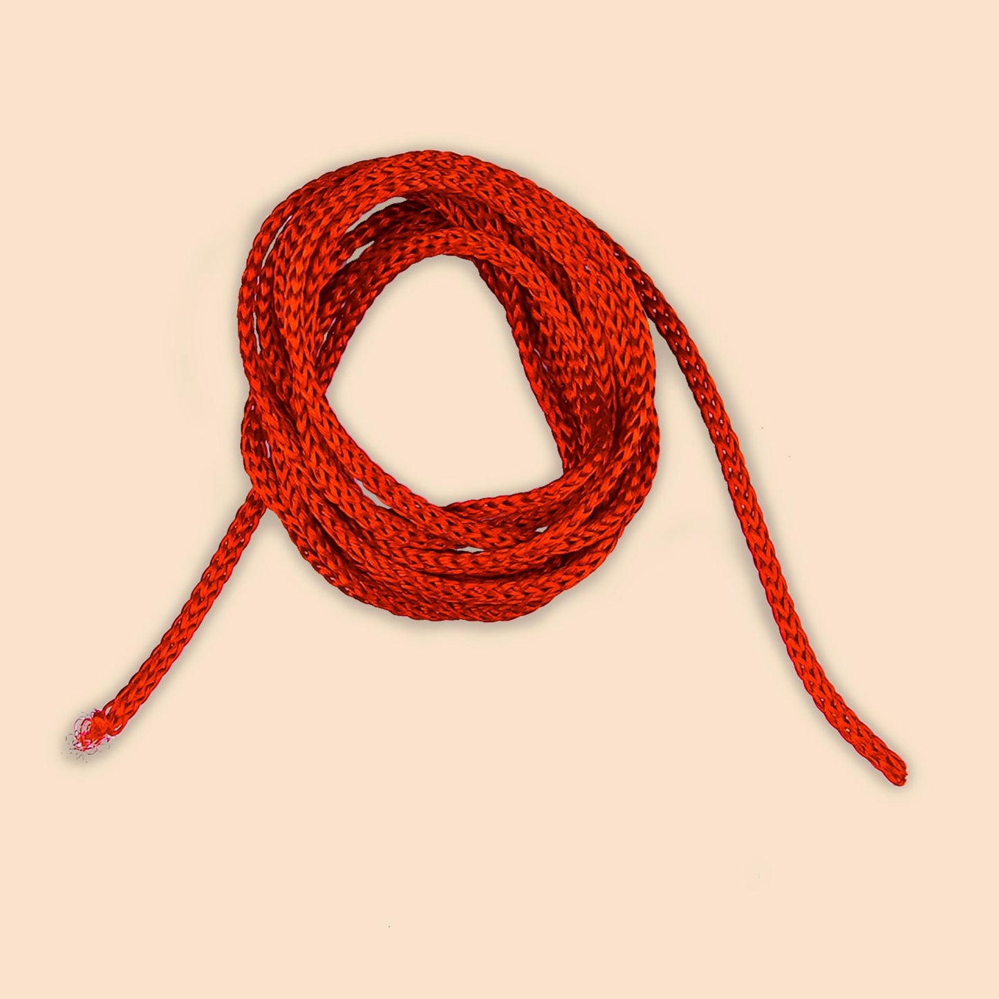 8 Mukhi Rudraksha (Indo)