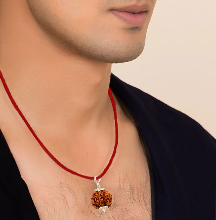 8 Mukhi Rudraksha (Indo)