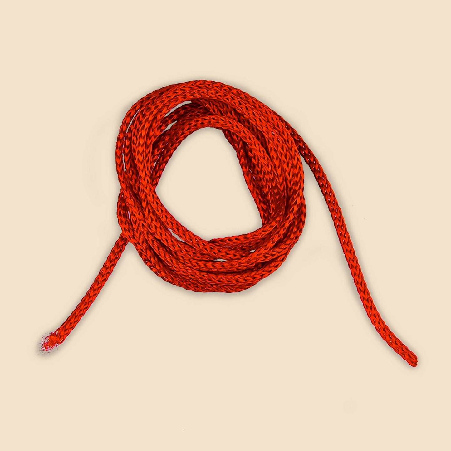 10 Mukhi Rudraksha (Indo)