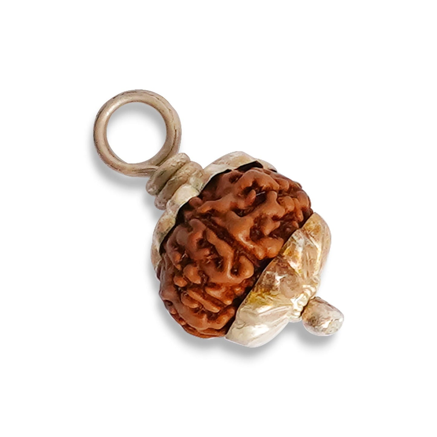 10 Mukhi Rudraksha (Indo)