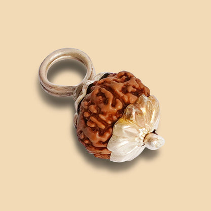 10 Mukhi Rudraksha (Indo)