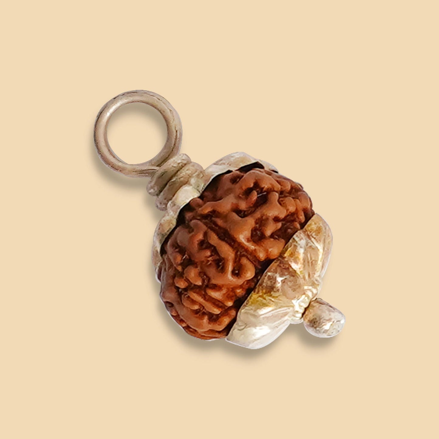10 Mukhi Rudraksha (Indo)