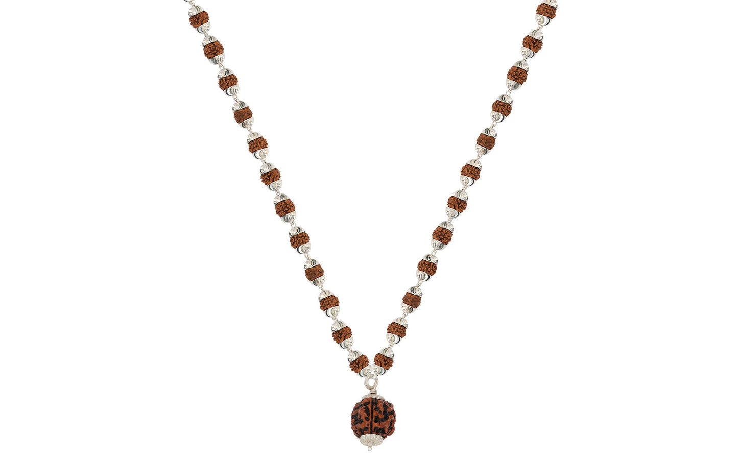 4 Mukhi Rudraksha (Nepali)