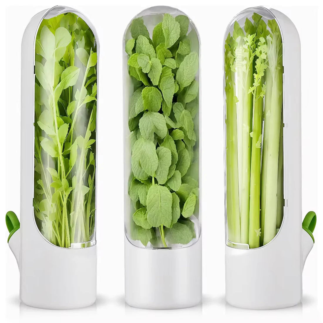 Herb Saver Pods 🌿 Best Storage Container for Freshest Produce + FREE Stainless Steel 5-Blade Herb Scissors