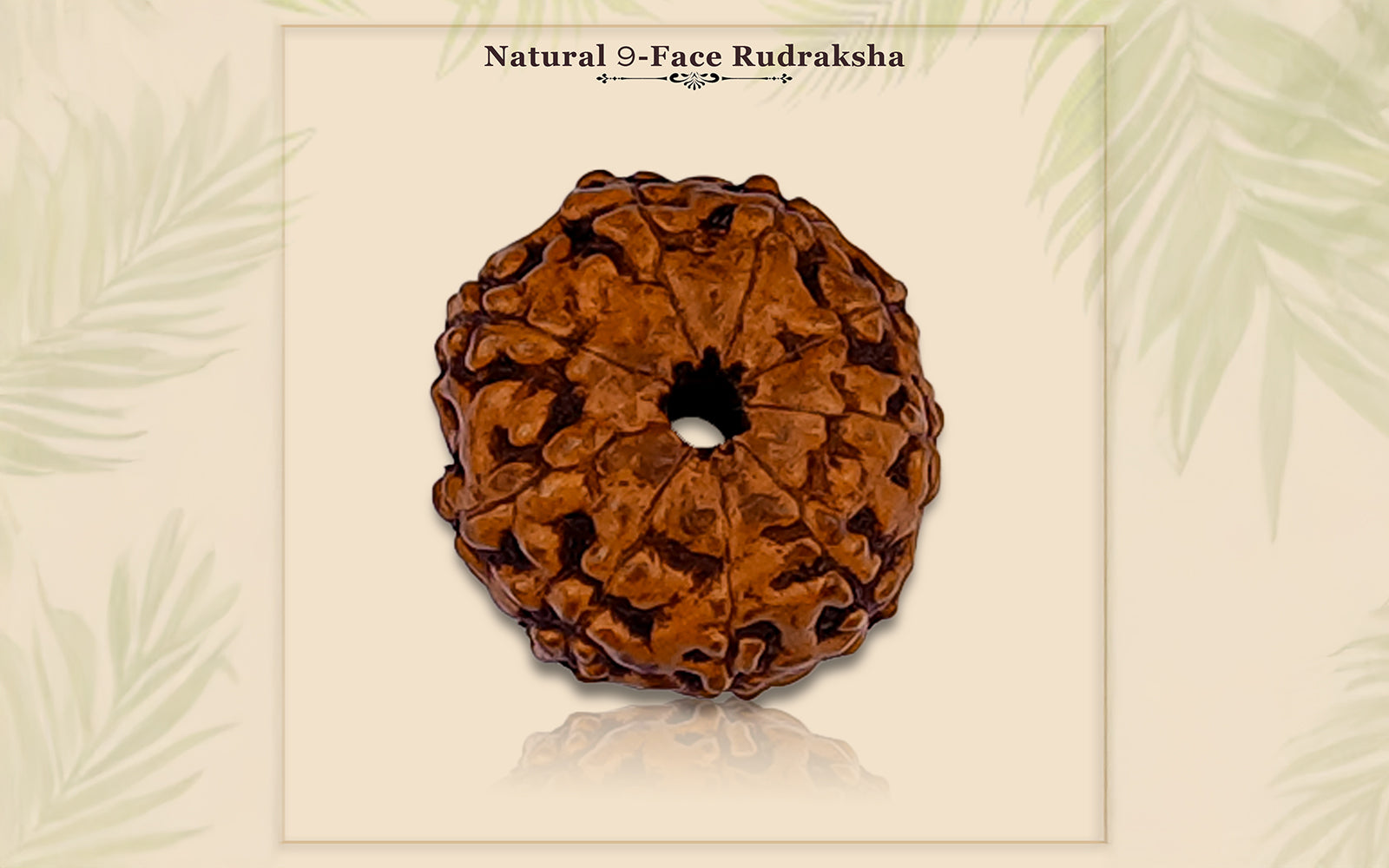 9  Mukhi Rudraksha (Indonesian Bead) - Gemsmantra