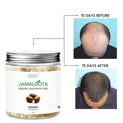 🌿 Jamalgota Ayurvedic Hair Growth Powder - 100 Gm 🌿