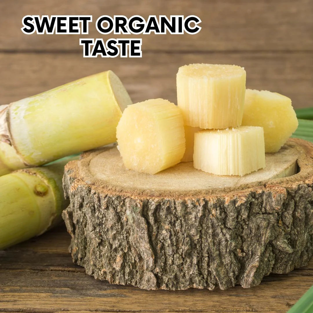 Green-Skinned Mini Sugarcane - Pack of 50 Sugarcane pant seeds
