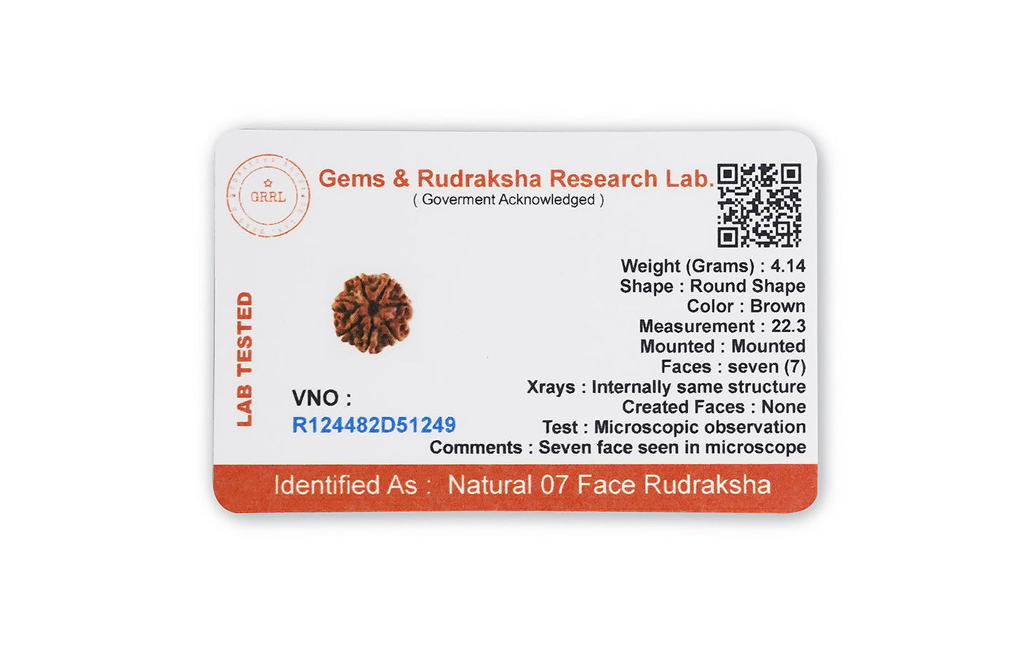7 Mukhi Rudraksha (Nepali)