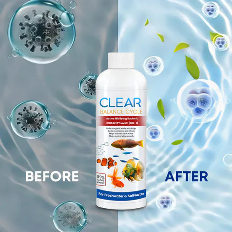 AquaClean™ Automatic Fish Tank Cleaner – 🔥 Buy 1 Get 1 Free 🔥