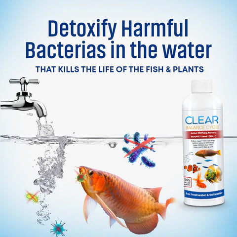 AquaClean™ Automatic Fish Tank Cleaner – 🔥 Buy 1 Get 1 Free 🔥