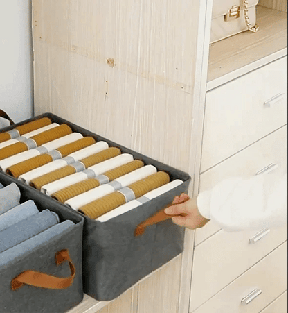 Foldable Wardrobe Organizer with Durable Handles (Pack of 6)