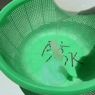 Transparent Waterproof Glue Plus Brush